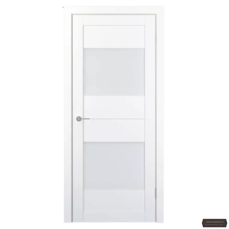 Durvis FORUM 02 (FM02) PP Premium