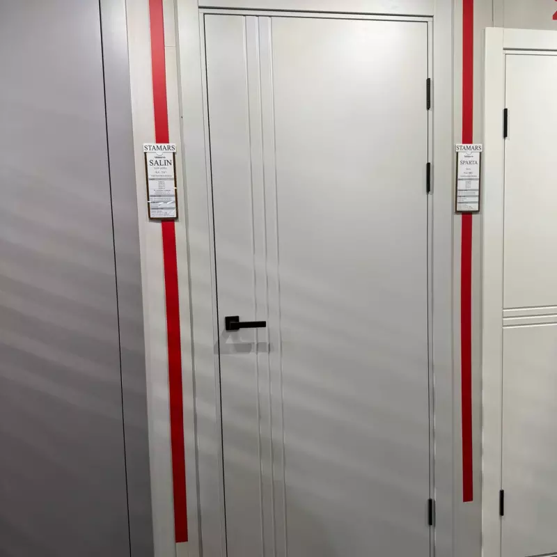 Durvis SALIN Krāsotas durvis