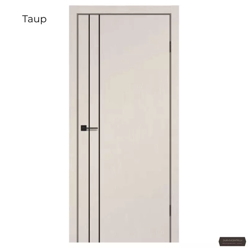 Durvis VETTORINA  Finierējums