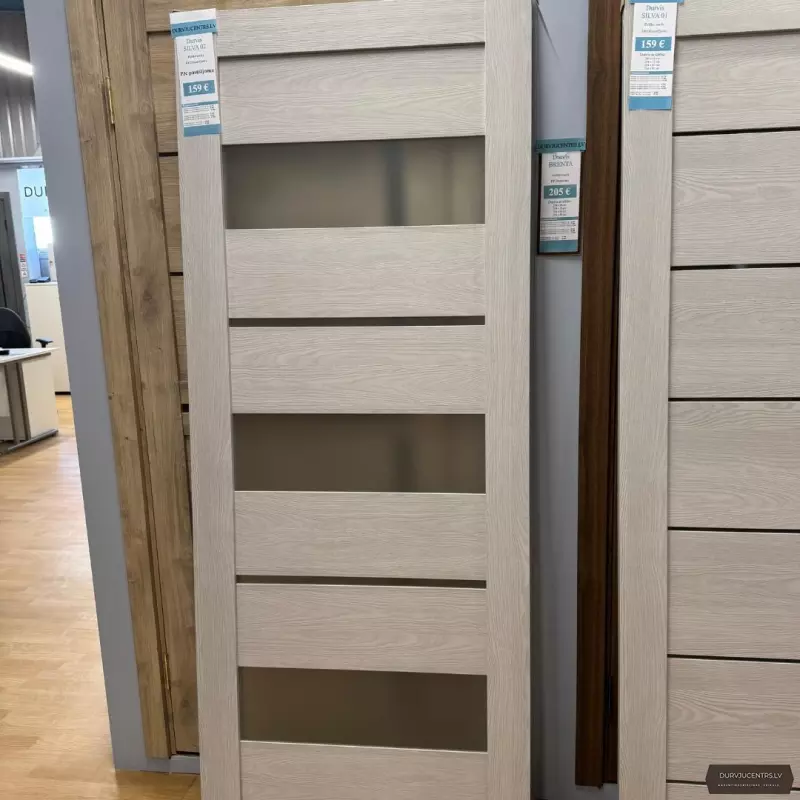 Durvis Silva 02 Pelēks ozols EKOfinierējums