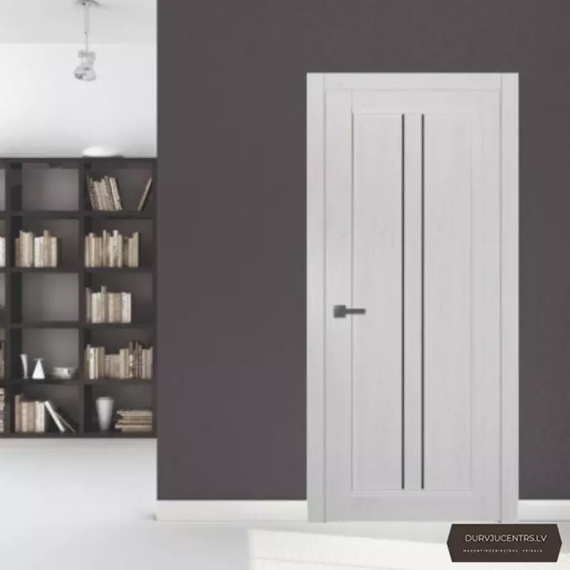 Durvis Jumis Latvijas bērza tonis Ekofinirējums