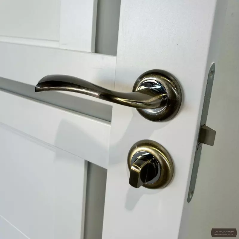 Durvju rokturis AMELIJA